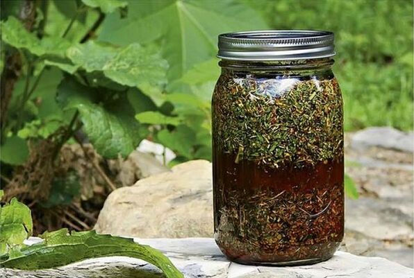 infusión de hierbas contra los parásitos