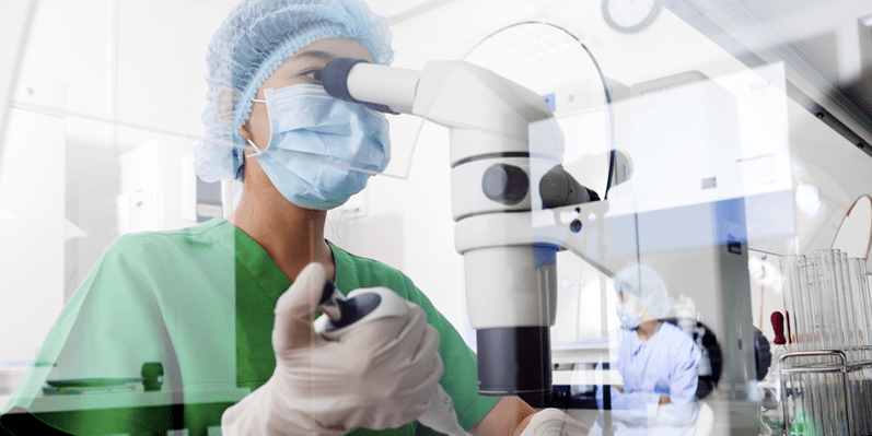 estudiando pruebas para la presencia de gusanos